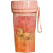 Mini Fruit Juicer